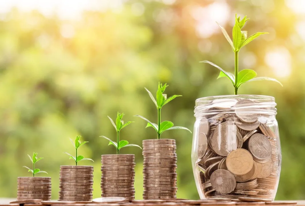 Stack and a jar of Coins with Plants on Top - 1