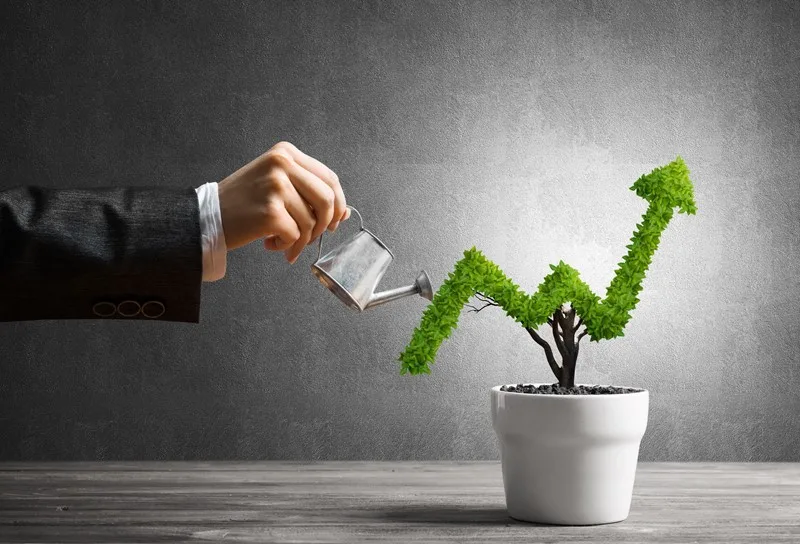 Planning and Progress for Businesses