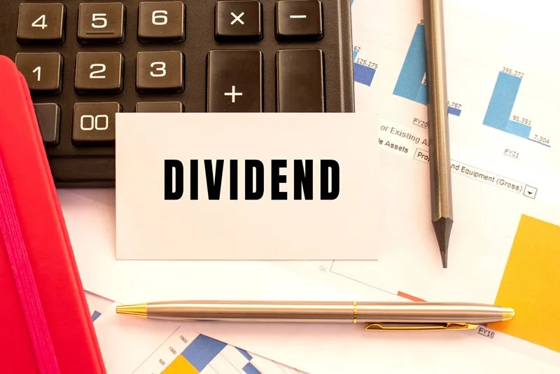 Dividend tax planning and shareholder income concept