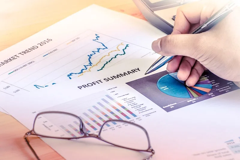 Financial performance review and net profit margin analysis